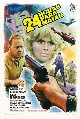 24 horas para matar