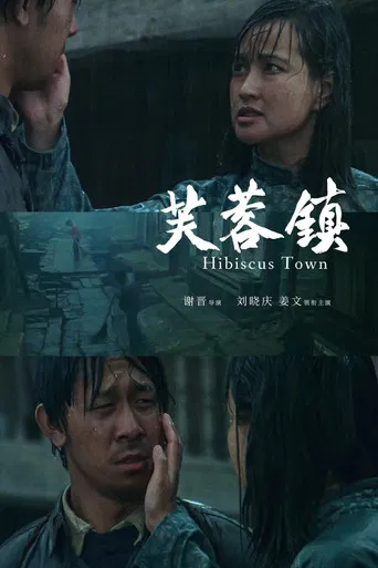 Hibiscus Town
