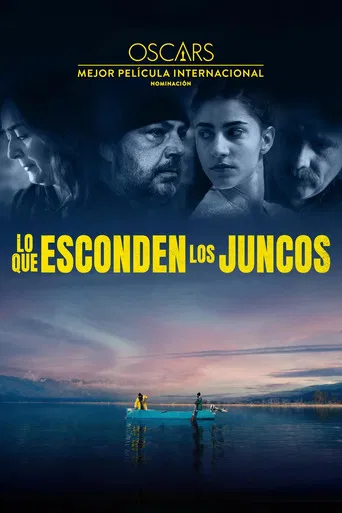 Lo que esconden los juncos