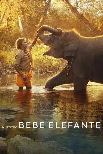 Nuestro bebé elefante