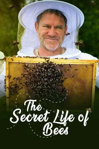 The Secret Life of Bees