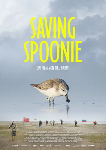 Saving Spoonie