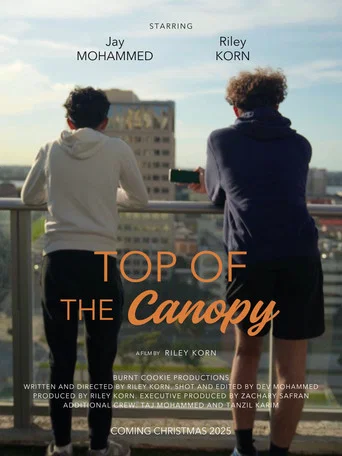 Top of the Canopy