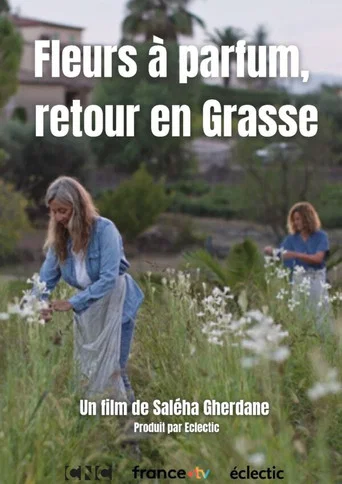Fleurs à parfum, retour en Grasse