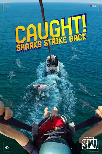 Sur le vif ! Quand les requins contre-attaquent