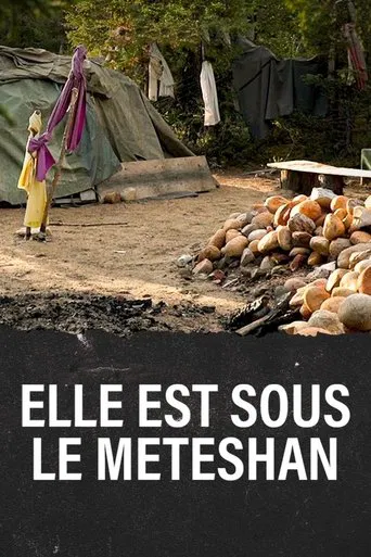 Elle est sous le Meteshan