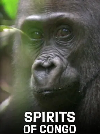 Les esprits du Congo
