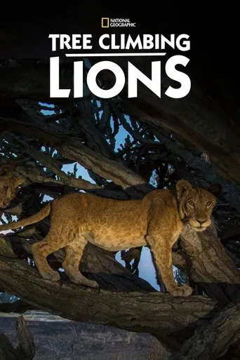 Les lions des arbres
