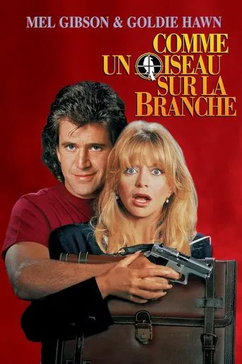 Comme un oiseau sur la branche