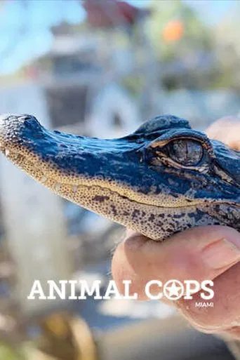 Animal Cops : Miami