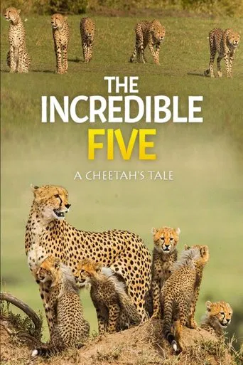 The Incredible Five: A Cheetah's Tale