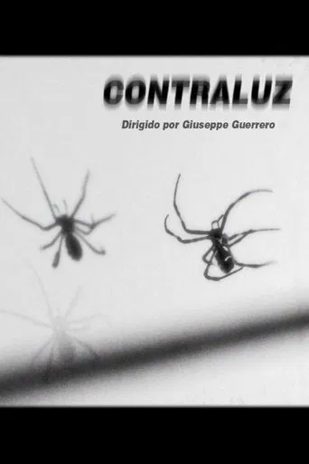 Contraluz