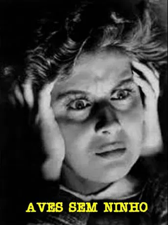 Birds Without a Nest