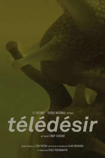Télédésir