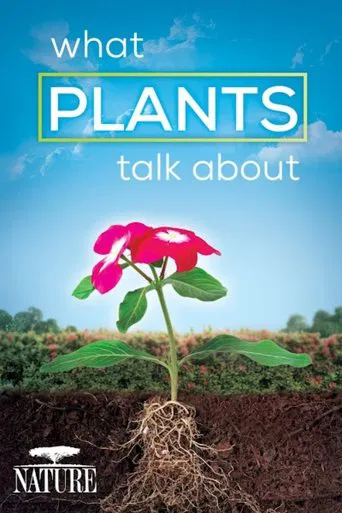 What Plants Talk About
