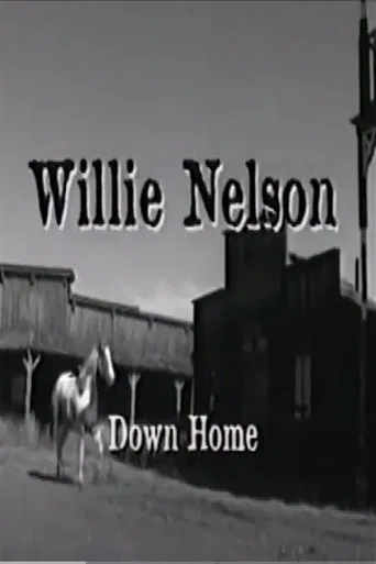 Willie Nelson: Down Home