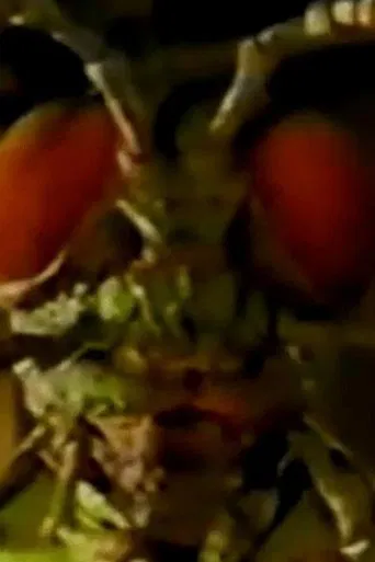 Ghosts of Fear Street