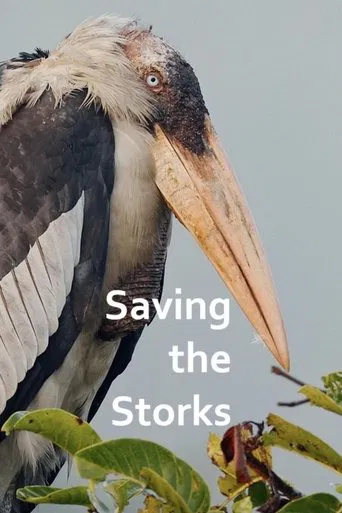 Saving the Storks with Sir David Attenborough
