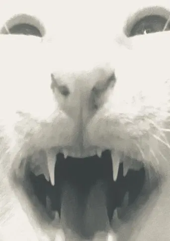 all my brothers are in a box that stinks