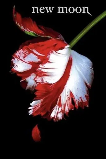 new moon: the journey continues