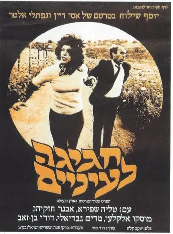 חגיגה לעיניים