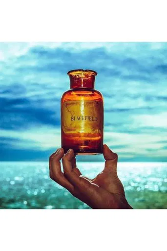 Blackfield V