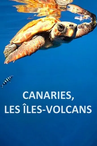 Canaries, les îles-volcans