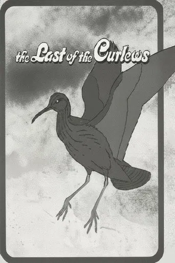 The Last of the Curlews