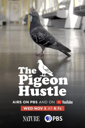 The Pigeon Hustle