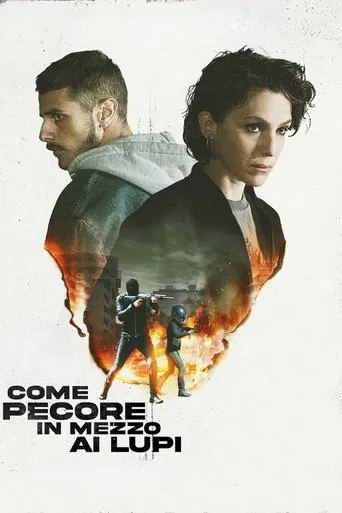 Like Sheep Among Wolves