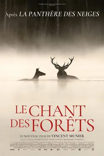 Le chant des forêts