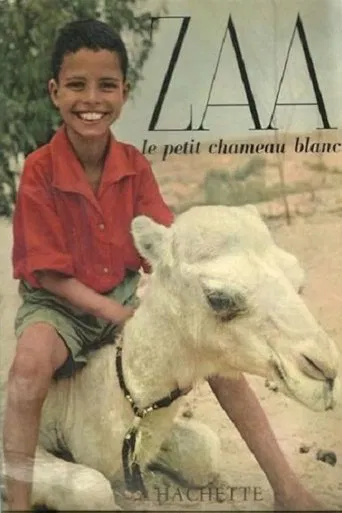 Zaa, petit chameau blanc