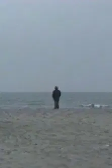 L'Arbre et le Soleil