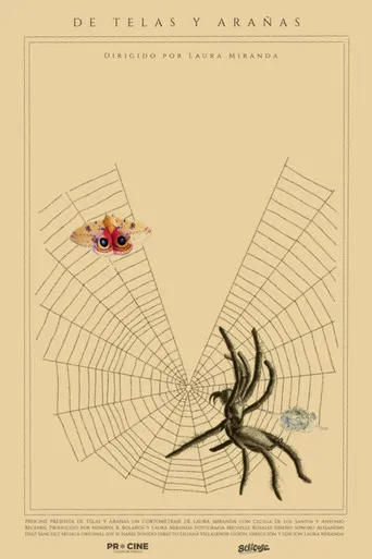 Of Webs and Spiders