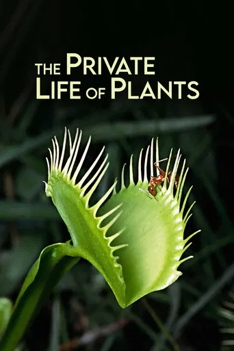 La Vie Privée des Plantes