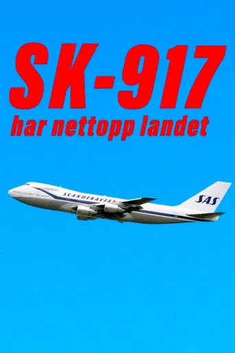 SK 917 har nettopp landet