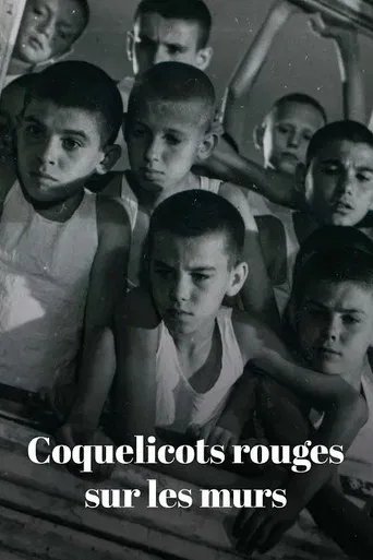 Coquelicots rouges sur les murs