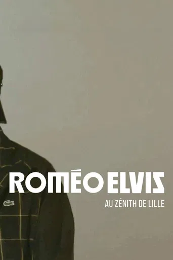Roméo Elvis au Zénith de Lille