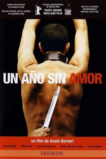 Un Año sin amor