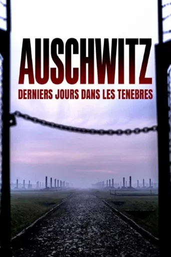 Auschwitz : Derniers Jours Dans Les Ténèbres