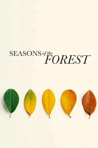Seasons of the Forest