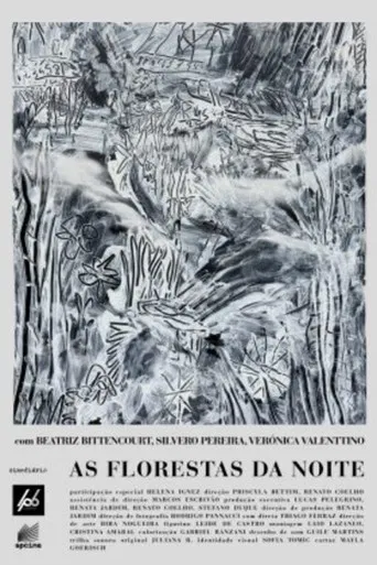 As Florestas da Noite