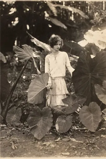 Na Primavera da Vida