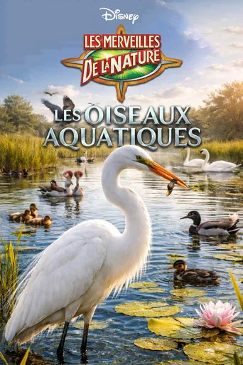 Les Oiseaux Aquatiques