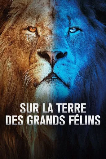 Sur la terre des grands félins