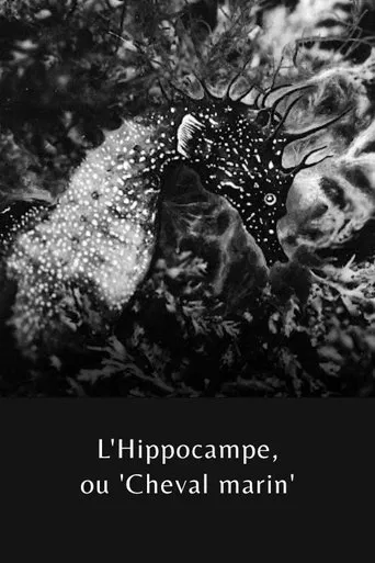 L'Hippocampe, ou 'Cheval marin'