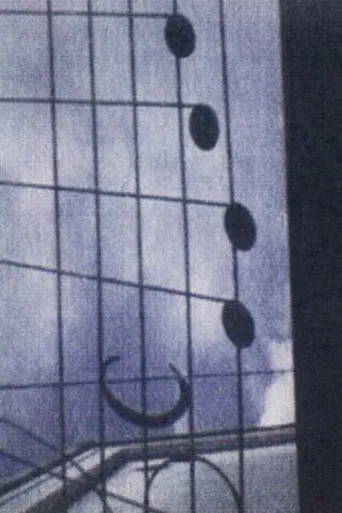 This World (A Correspondence Between Naomi Kawase and Hirokazu Koreeda)