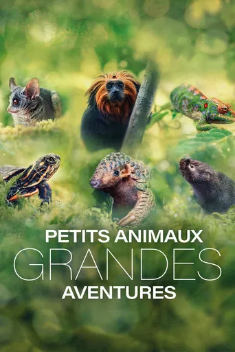 Petits animaux, grandes aventures