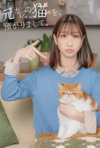 I’m Taking Care of My Ex’s Cat.