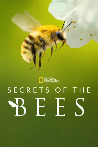 Les Secrets des abeilles